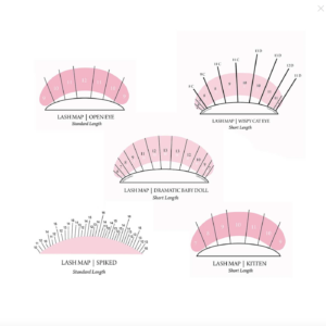 Lash Map