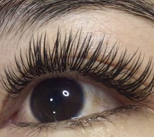 Flat Volume Lash Extensions by Mlash at Vawchoo