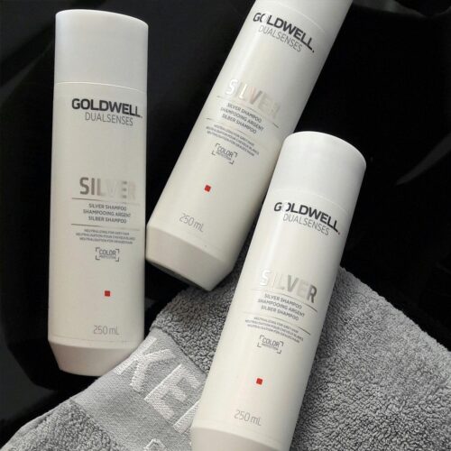 Goldwell Silver Shampoo at Base Coat